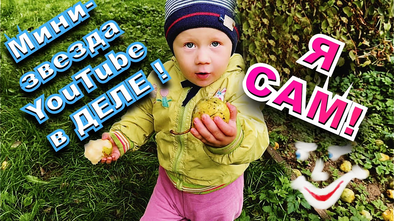 И певец, и работяга, и помощник во всём ! ) Собираем груши, пилим, носим...)