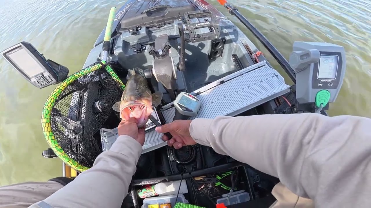 Winter Jig Fishing (Shell Lake) 