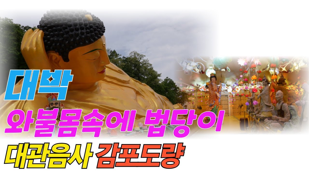 대와불 몸속 법당 극락체험 대관음사 감포도량  사찰여행/유튜브불교대학 평화성취 대와불 극락체험