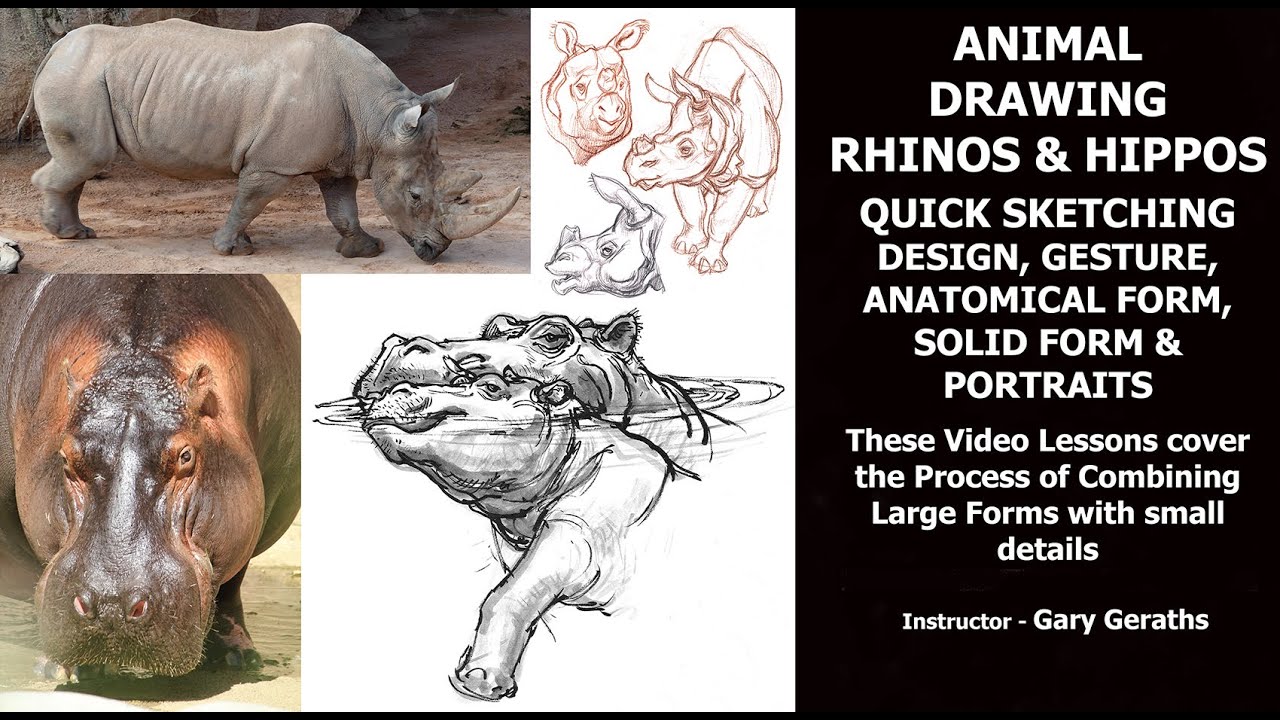 ANIMAL DRAWING - RHINOS & HIPPOS QUICK SKETCH -LESSONS in DESIGN, GESTURE, ANATOMY, FORM - Geraths