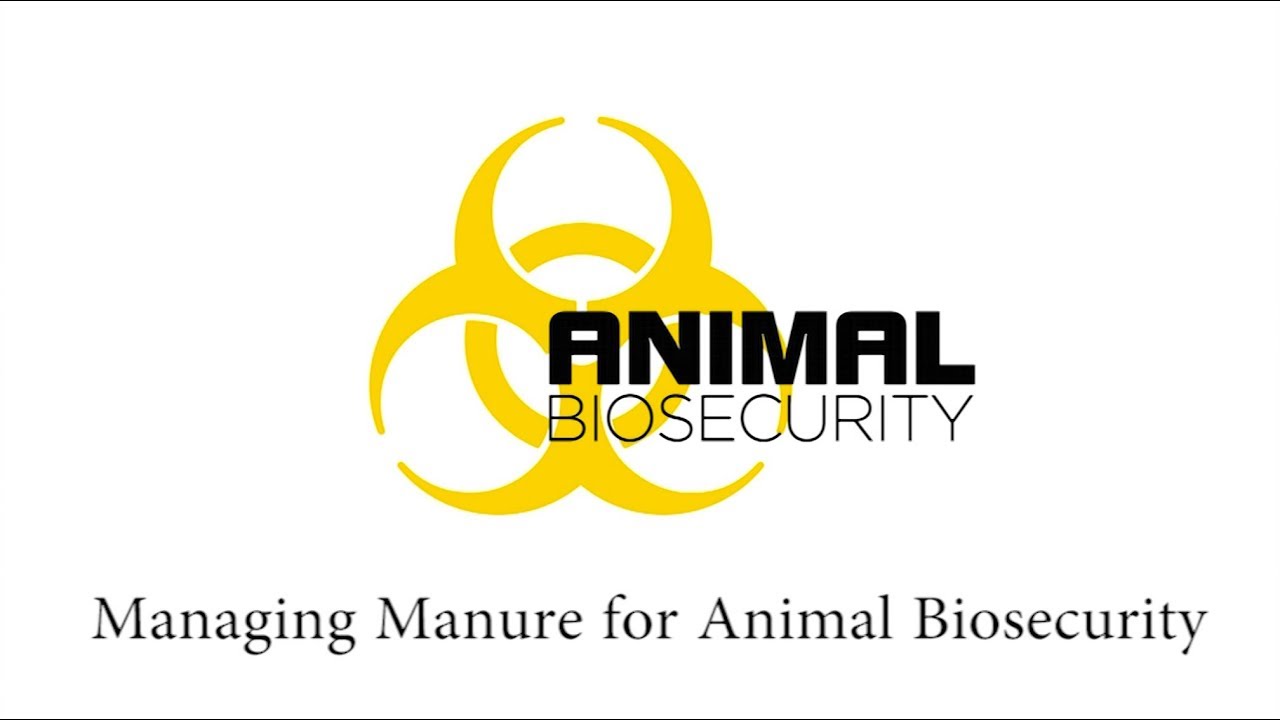 Managing Manure for Animal Biosecurity