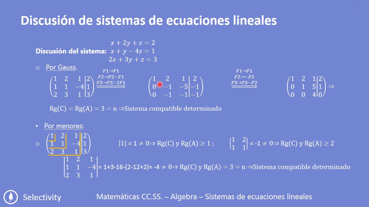 A2A4 Discusi&oacute;n de Sistemas de Ecuaciones Lineales