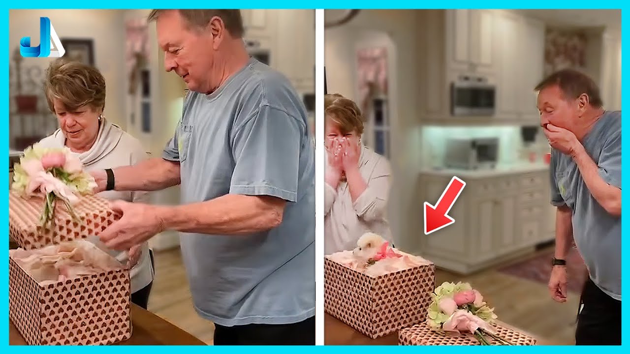 🐶 They Thought It Was Just a Gift&hellip; Then They Saw the Puppy Inside! 💕 New Puppy Surprise Compilation