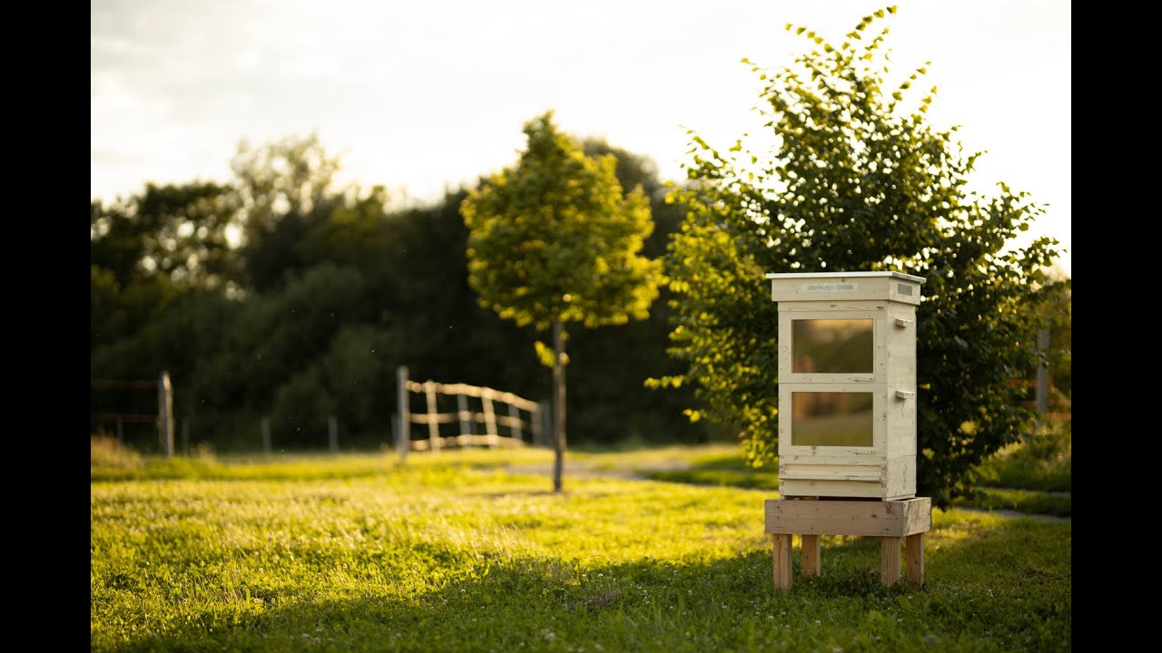 Thermosolar Hive: Healthy bees and healthy honey without chemical residues