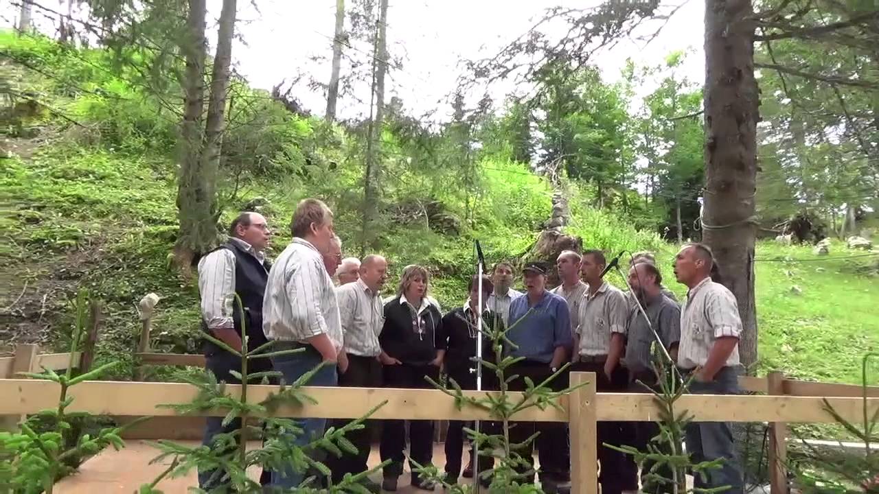 Jodlerklub Flüehblüemli Sangernboden & Treichler 2014