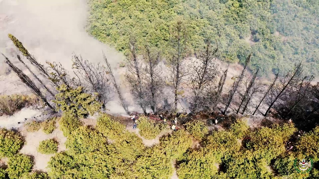 إخماد حرائق في صور