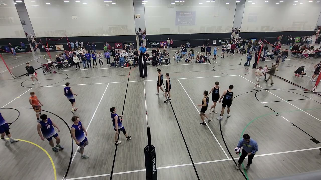 High Performance B17B Orange vs Vanguard 17-1 Gold Attia