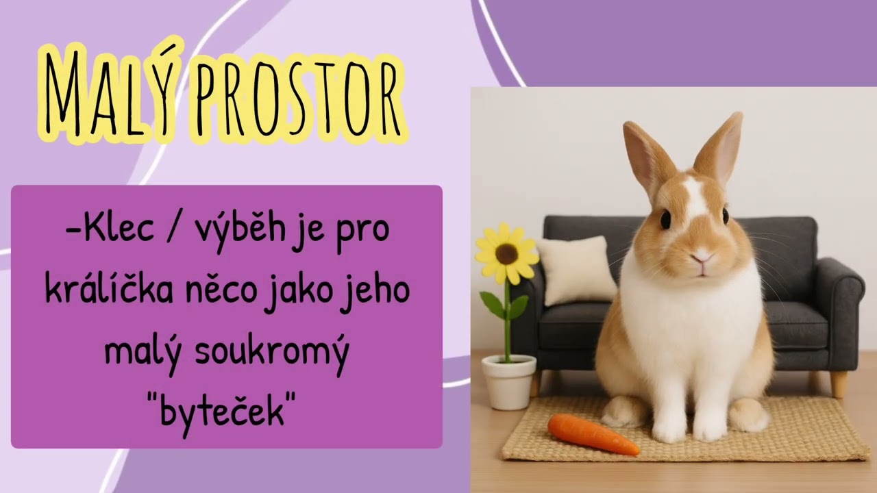 Proč králíček kouše klec?