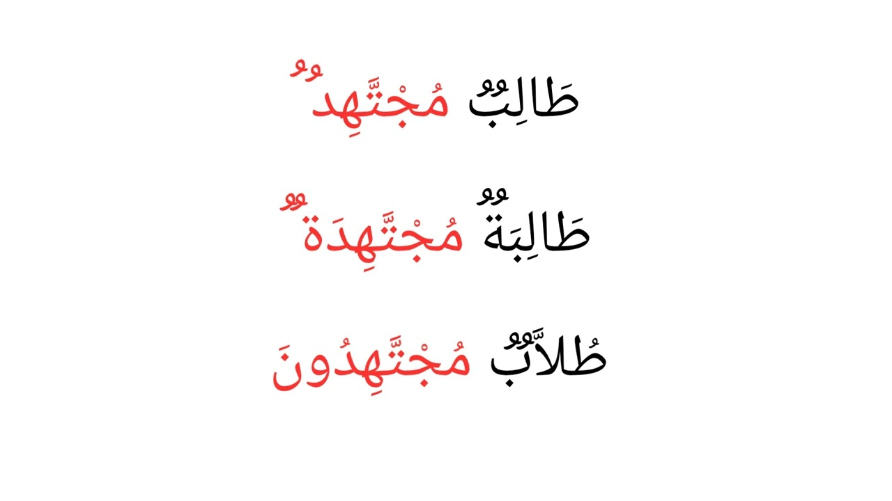 الصفة أو النعت في اللغة العربية بسهولة