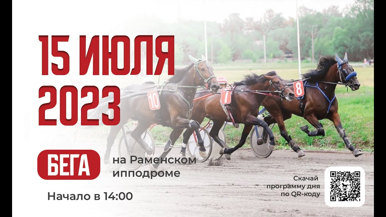 15.07.2023: Прямая трансляция из Раменского. Отбор лучших рысаков.
