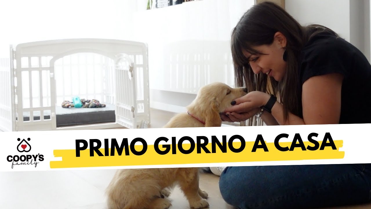 Arriva il cucciolo: il primo giorno a casa.
