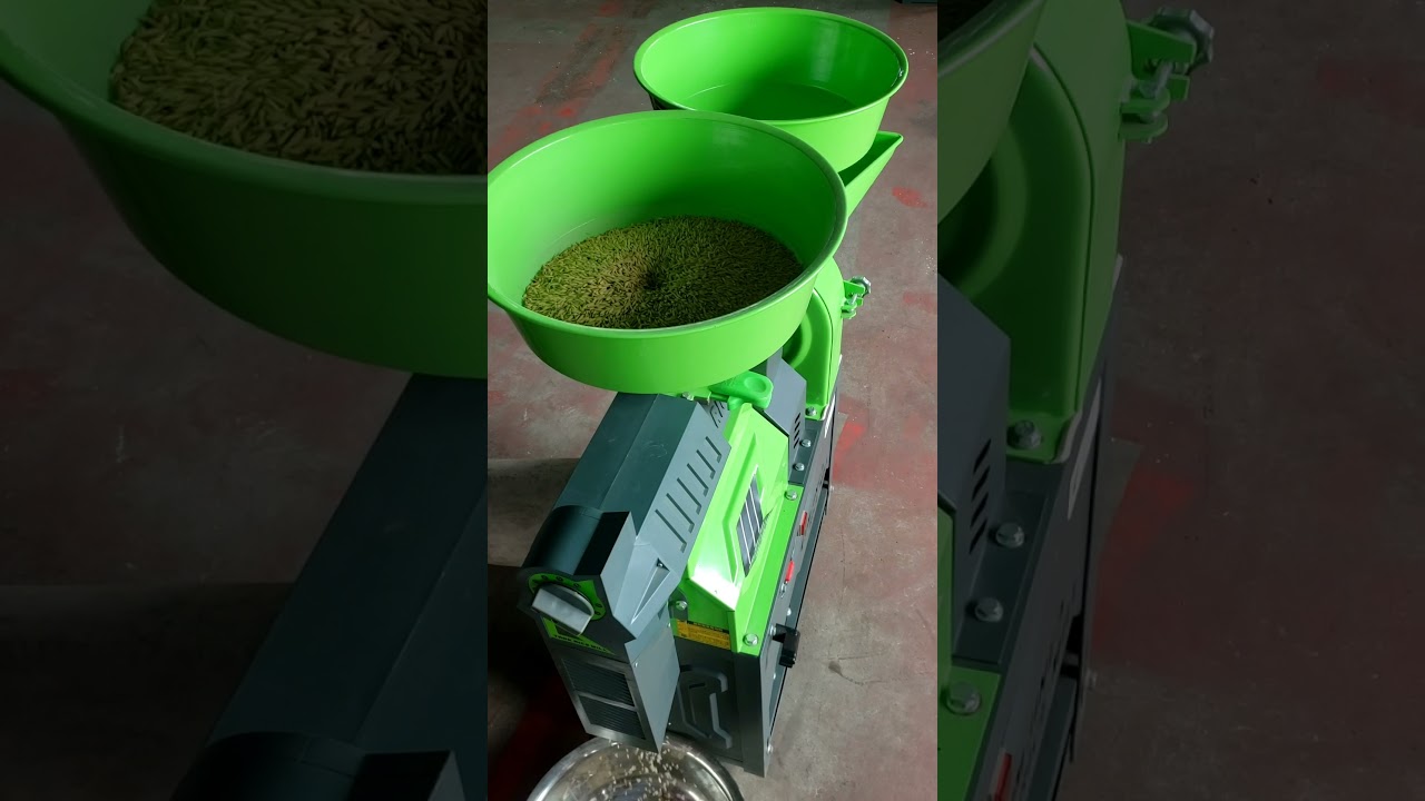 2 in 1 rice hulling machine #shorts