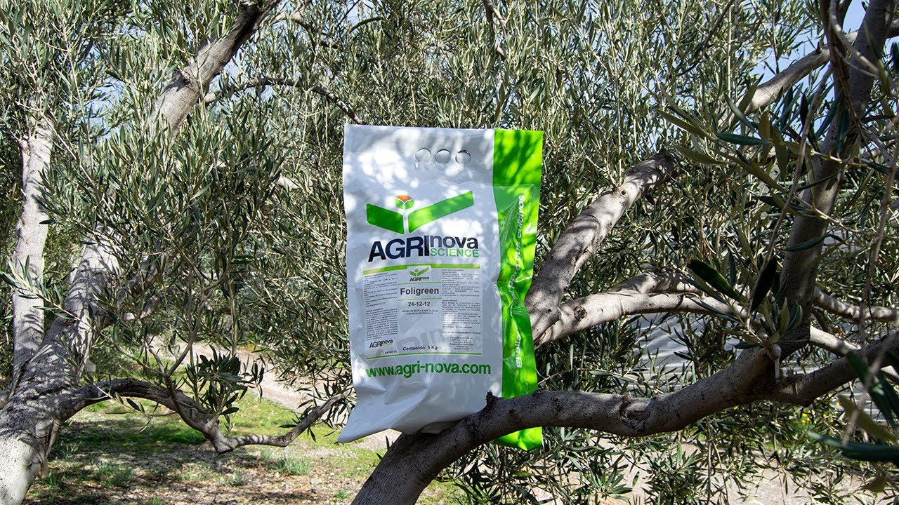 Recomendaciones de tratamientos para el cultivo del olivo