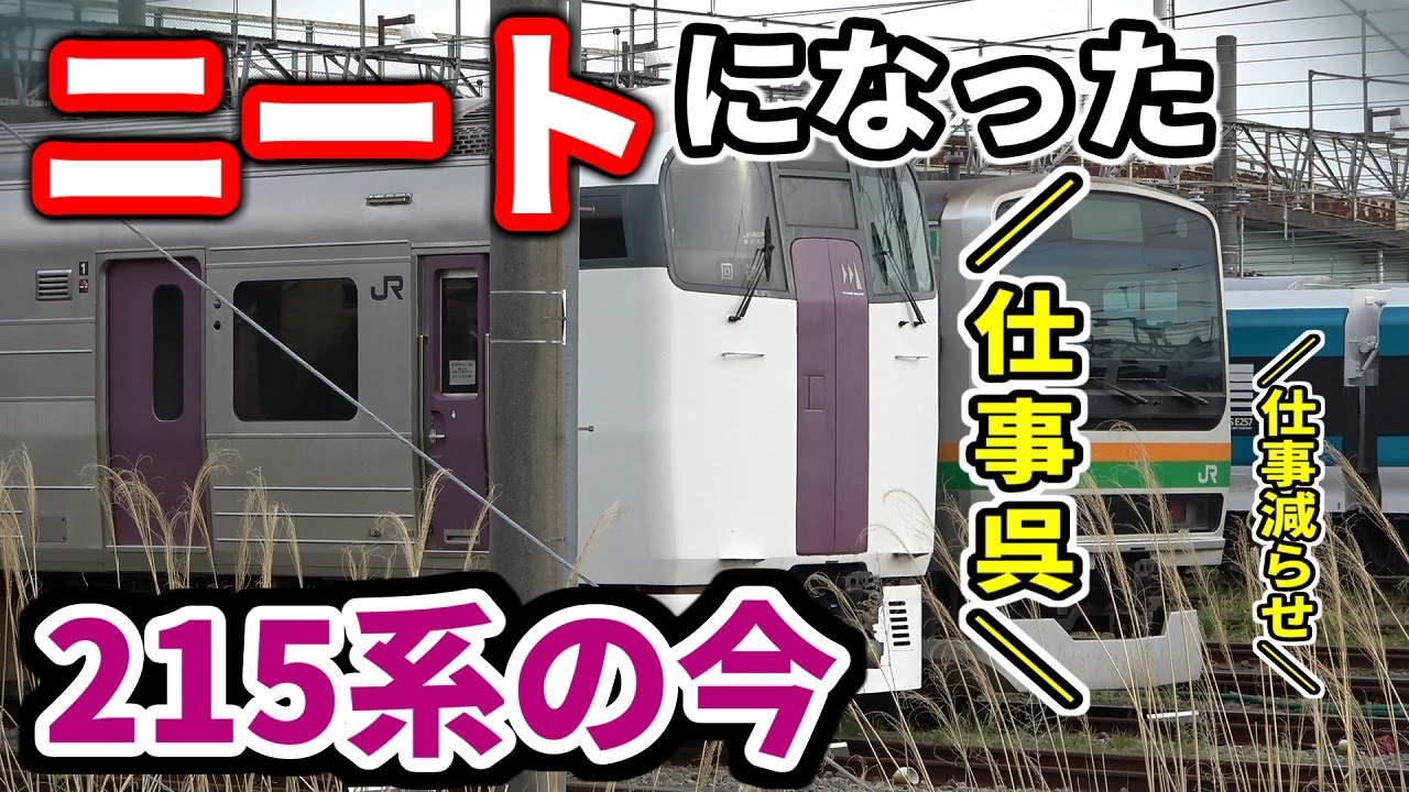 【本当の