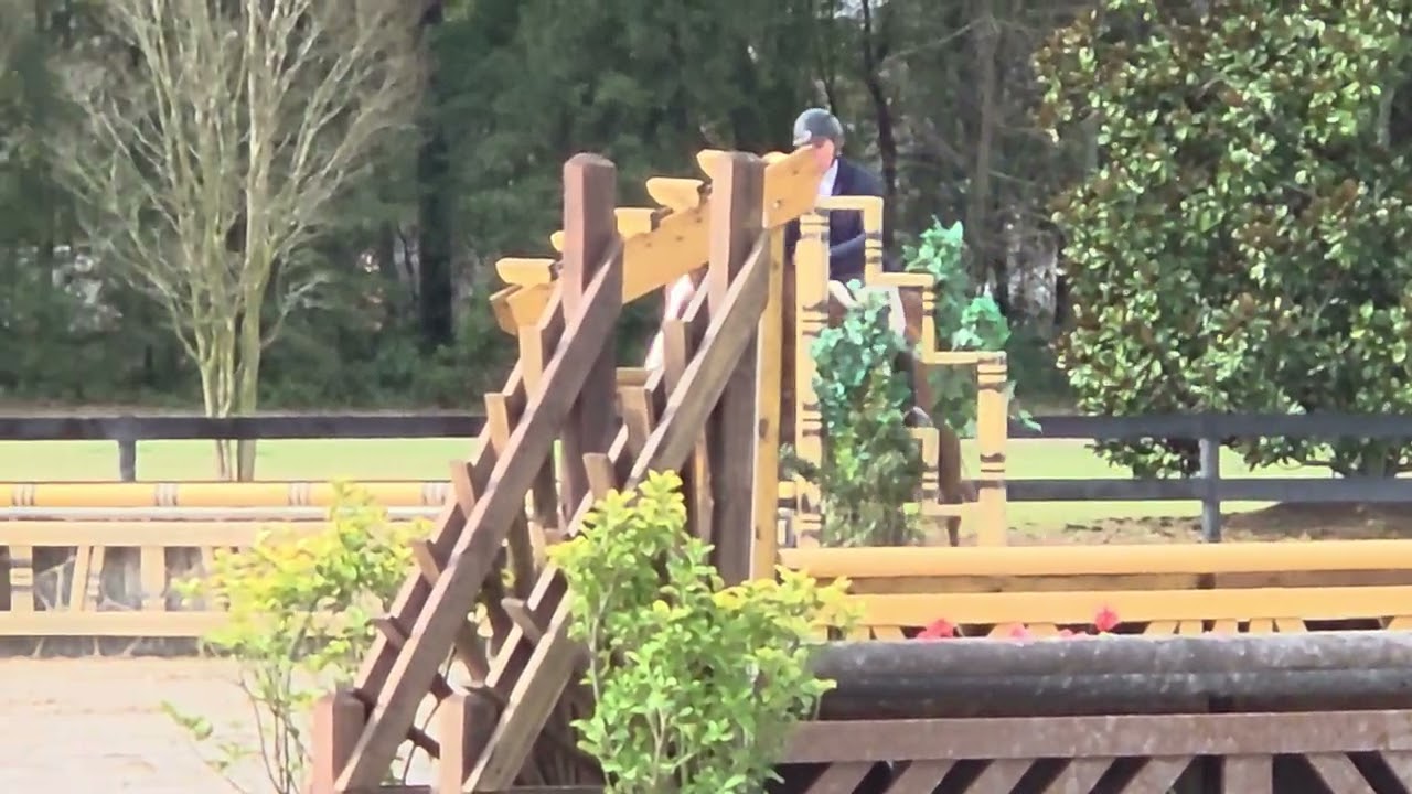 I Gotta Have It and Freda PSJ Winter II Hopeful Hunter