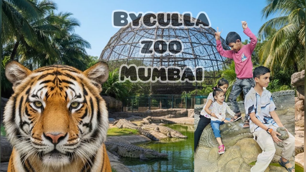 MY FRIST VLOG MUMBAI TOUR | 🐅 Penguins और Tiger को इतने पास से देखा 🐧 | Mumbai Zoo Full Tour & Vlog 