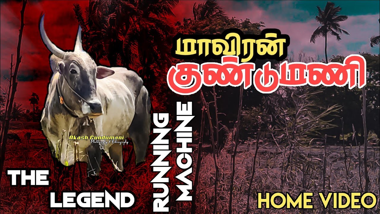 MAVEERAN GUNDUMANI THE LEGEND RUNNING MACHINE HOME VIDEO 📸