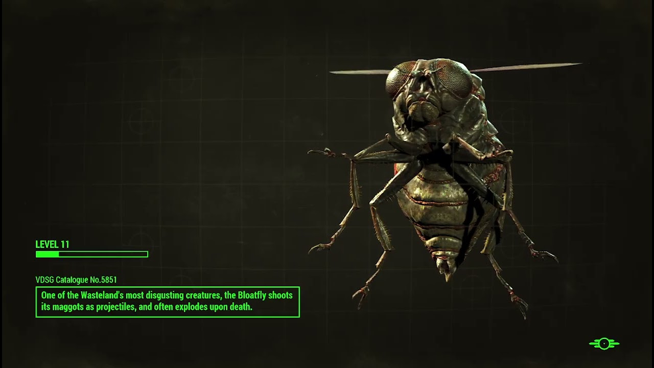 1/26/2026: i just wanna lil propane propane time to start the flame