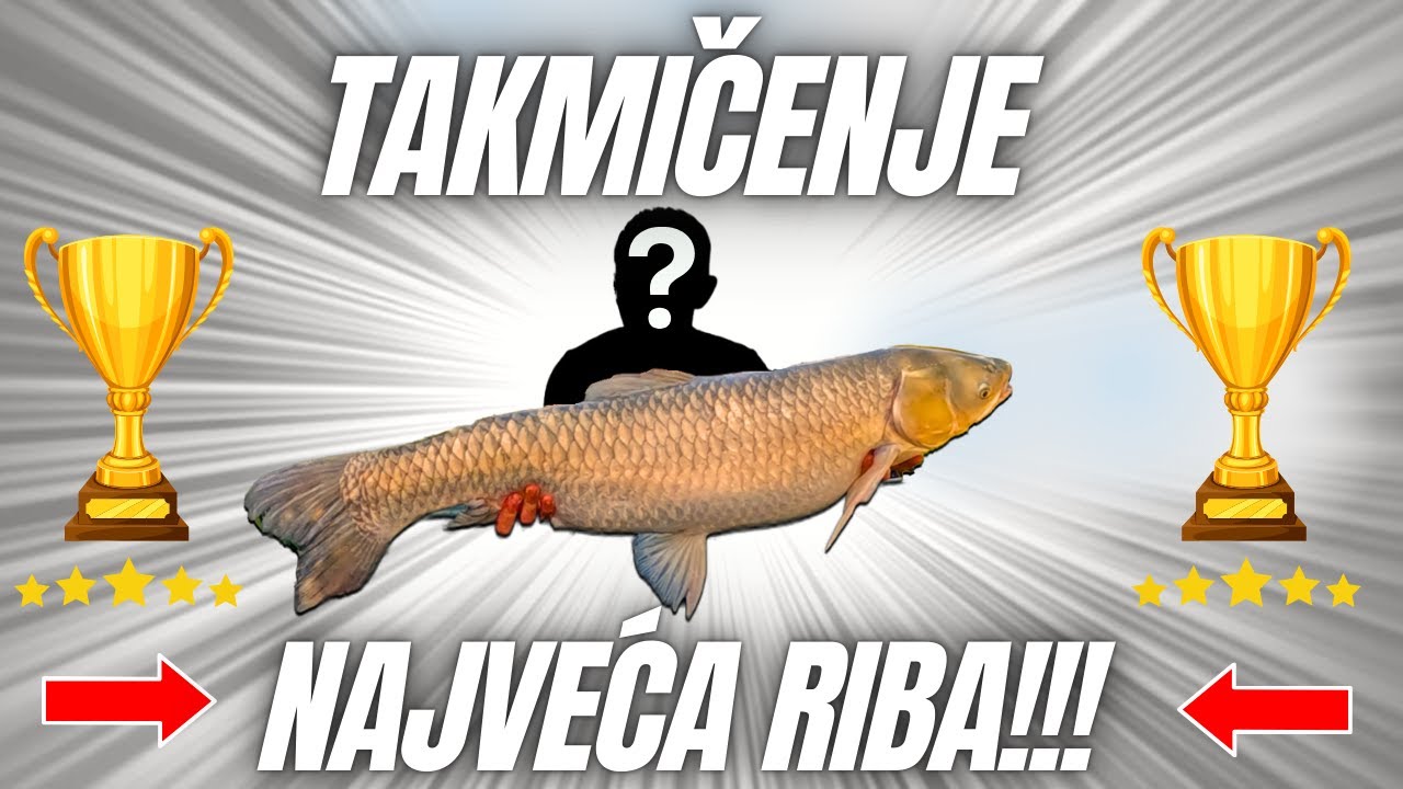🥇PECAMO TAKMIČENJE - KO ĆE UPECATI NAJVEĆU RIBU!!!🥇