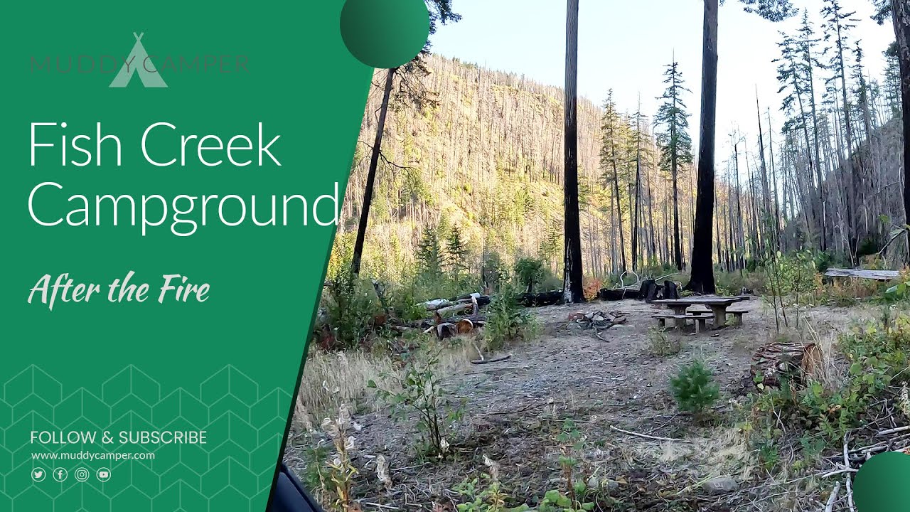 After the Fire: Fish Creek Campground - Clackamas River, Oregon