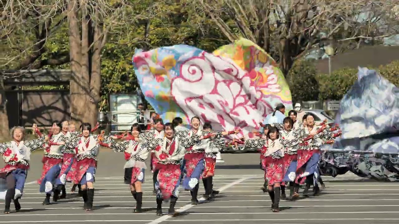 風魅彩[緑昇!]＠SAKURAよさこい奏蘭2026(2回目)