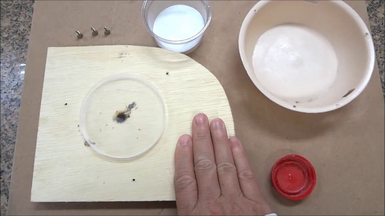 Como Fazer ISCA para FORMIGAS - Receita Caseira Exterminadora !