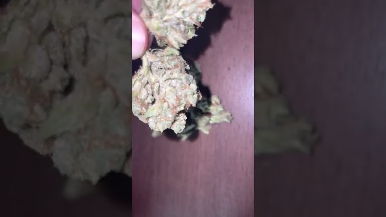Breakin down Khalifa Kush from trulieve (FL)