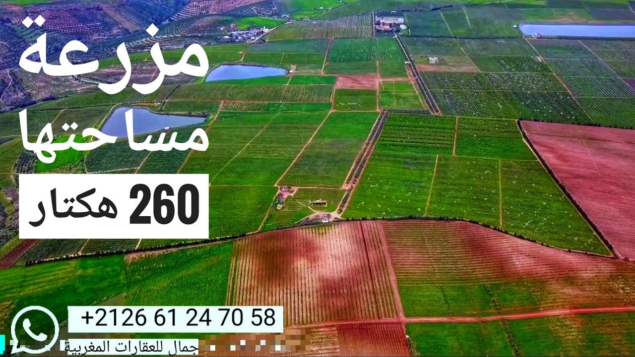 مكناس مزرعة مجهزة مساحتها 260هكتار محفظة جميع الأنواع الأشجار متمرة متنوعة 212661247058
