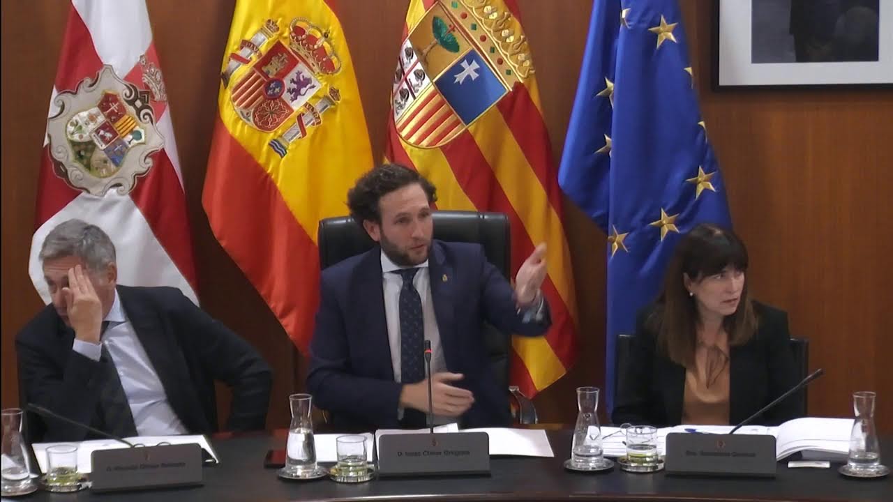 Pleno extraordinario. Noviembre 2025