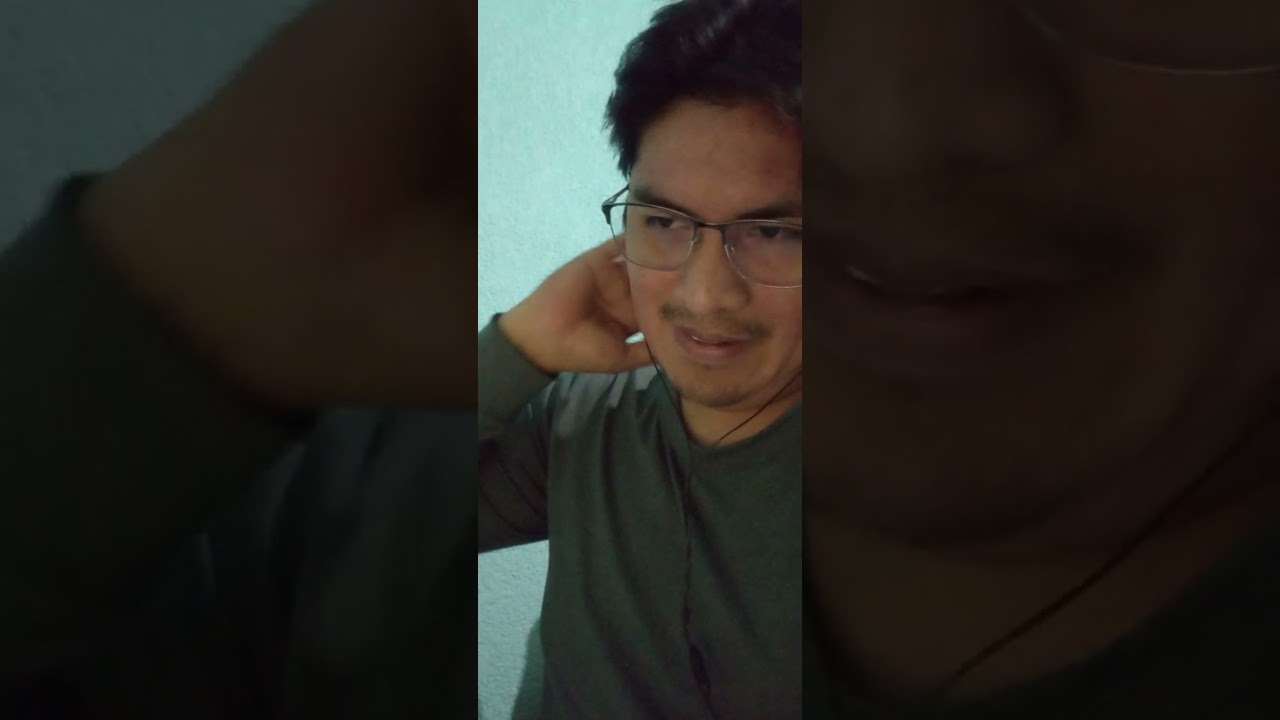 Autoreflexion unida 3