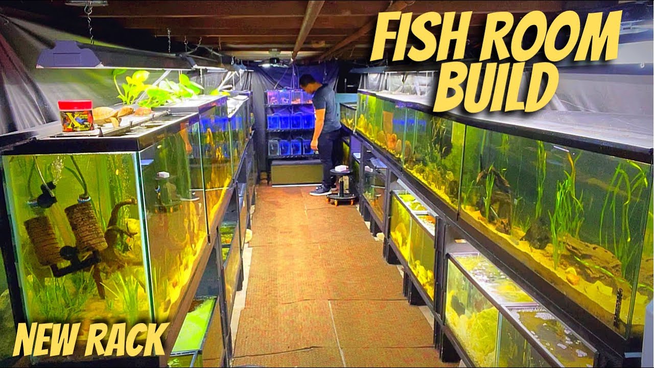 DIY FISH ROOM BUILD | PART #8