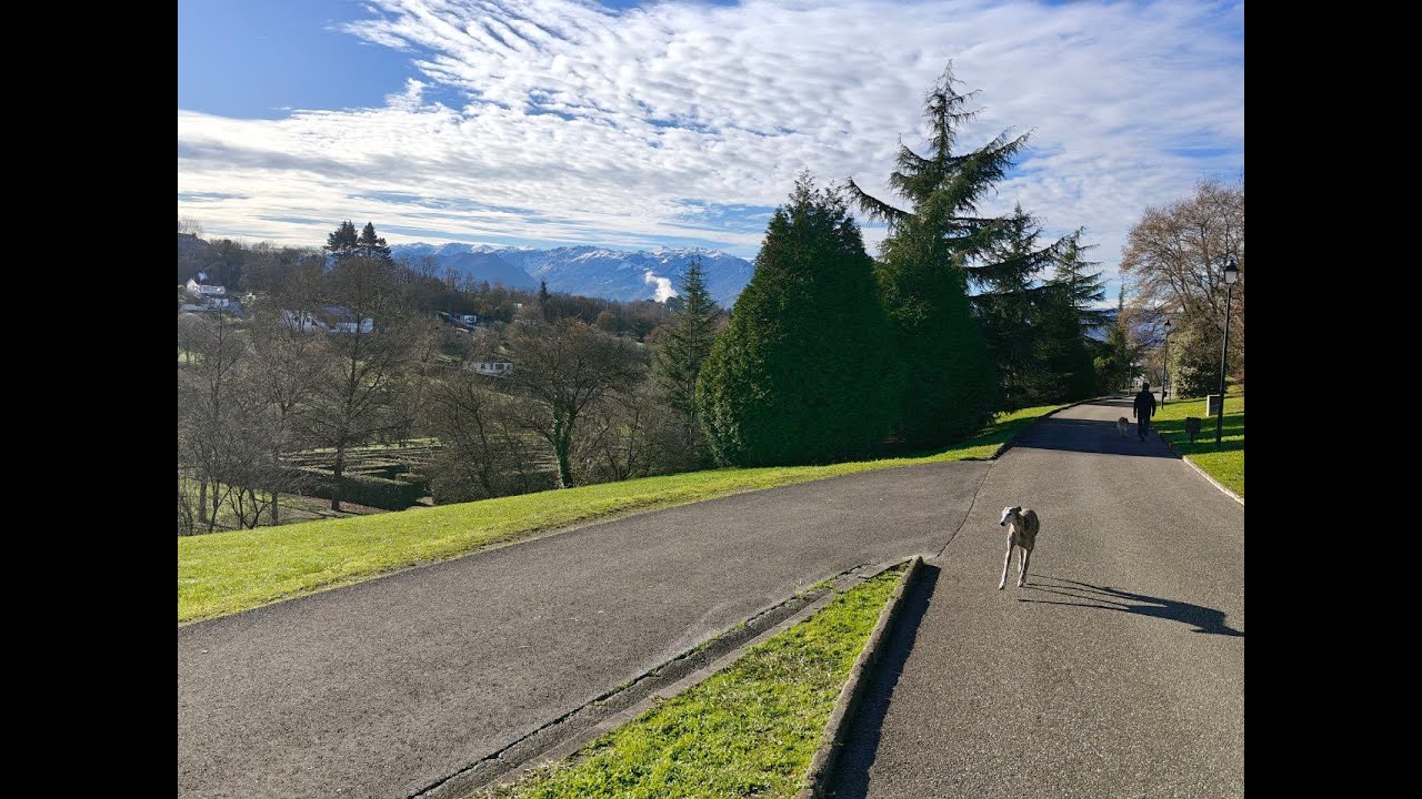 Paseando por el Parque de Invierno (Oviedo) con mi perra | Relaxing Walking Tour