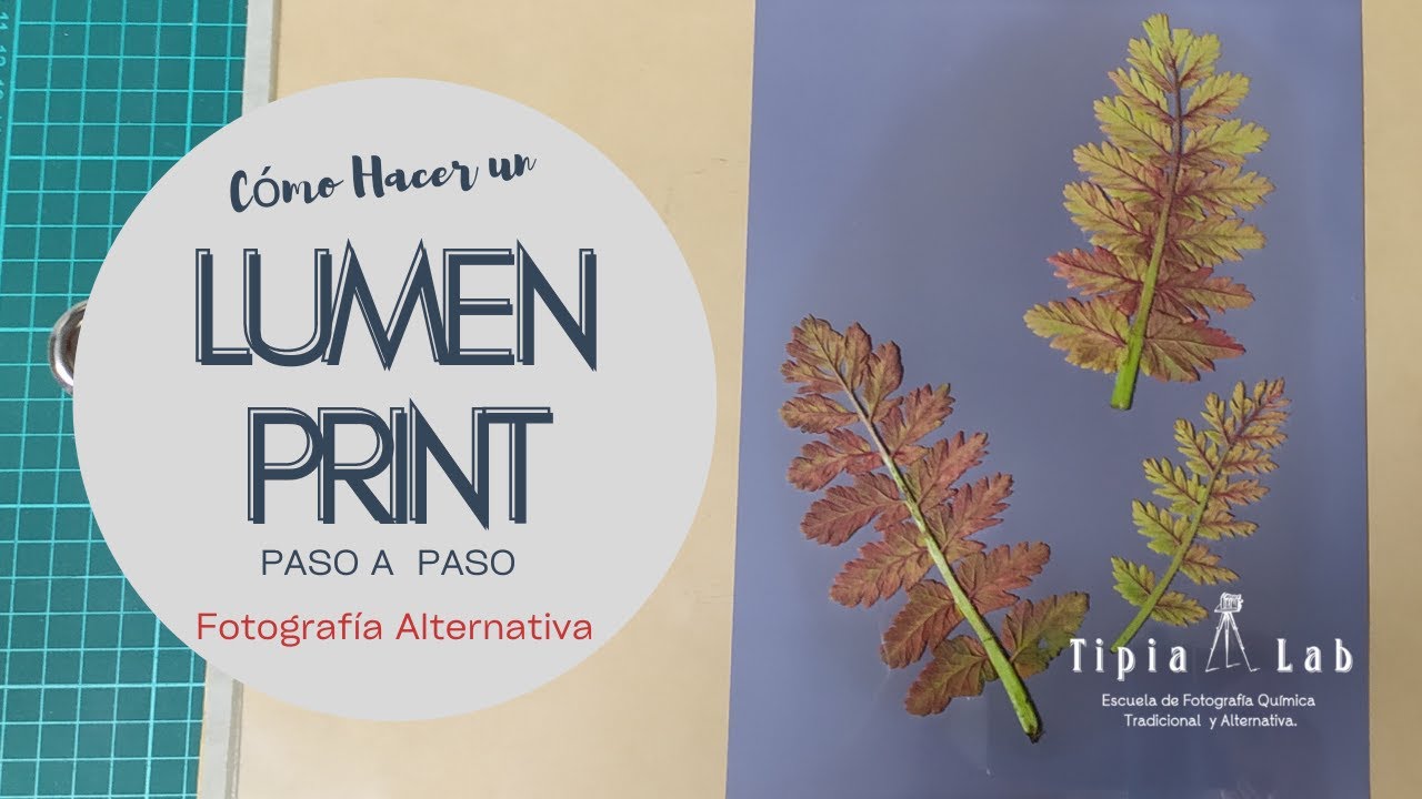 Aprende LUMEN PRINT PERMANENTE (Tutorial Paso a Paso) / Fotografía Sin Cámara!☀️ 🖼️