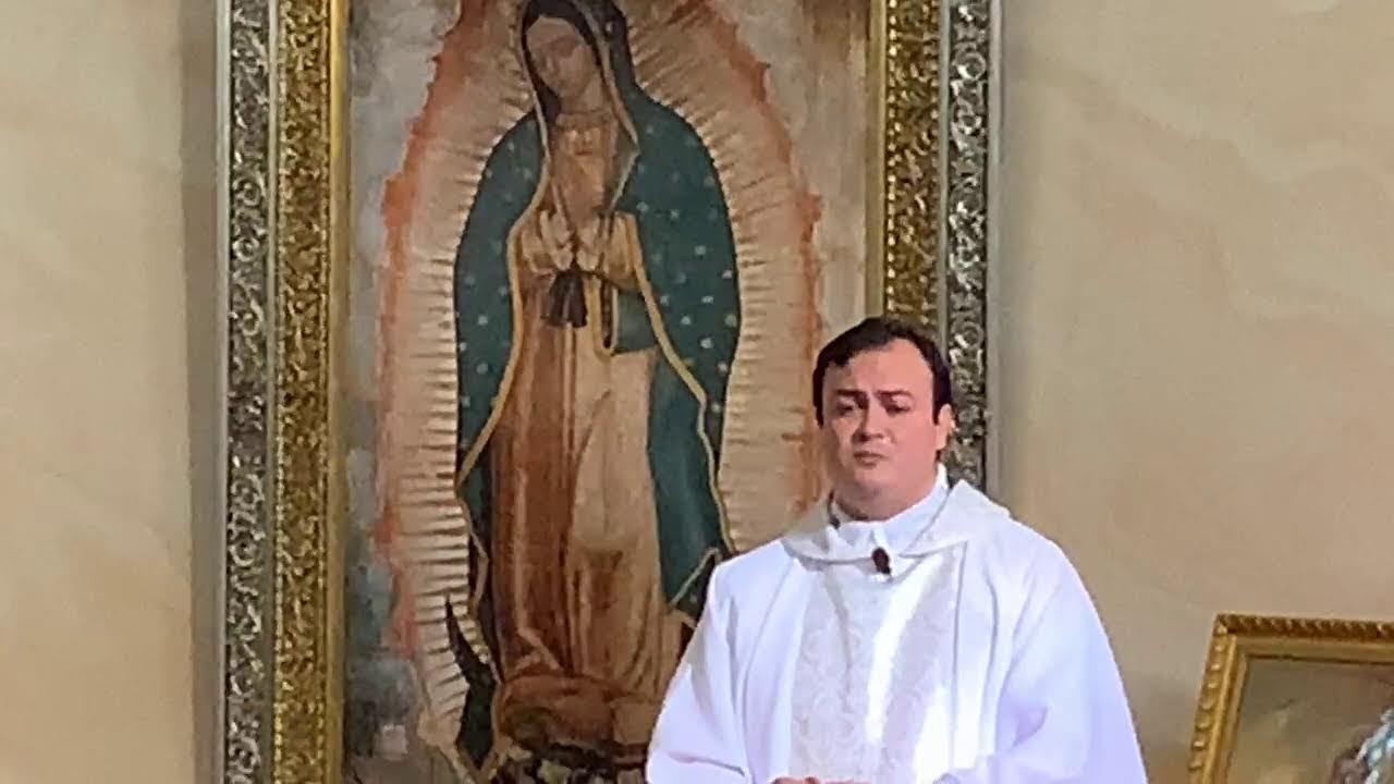 Saint Hilary, Bishop, Doctor of the Church.