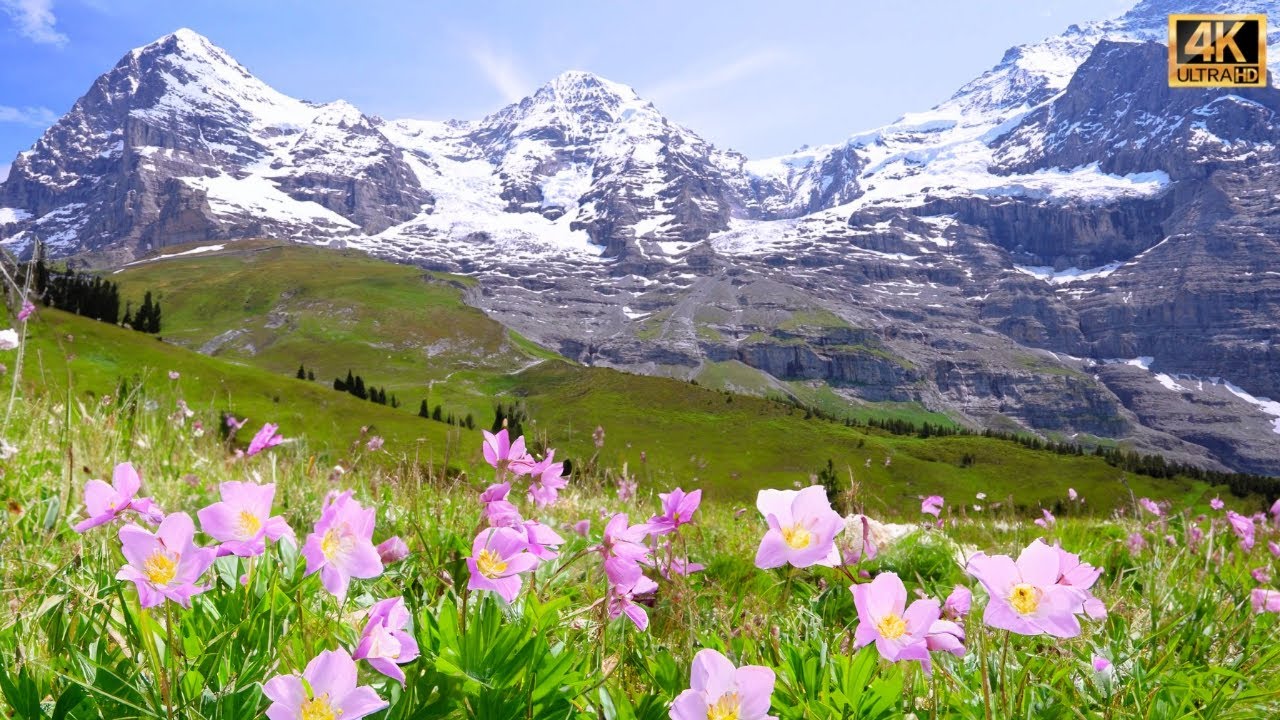 Three Gigantic Mountains of Switzerland: Eiger, Monch and Jungfrau | #swiss