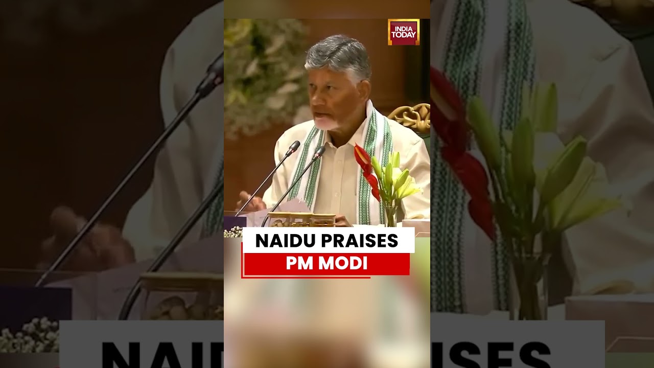 Naidu Praises PM Modi | AP CM Hails Leadership at NDA Meet in Delhi #pmmodi