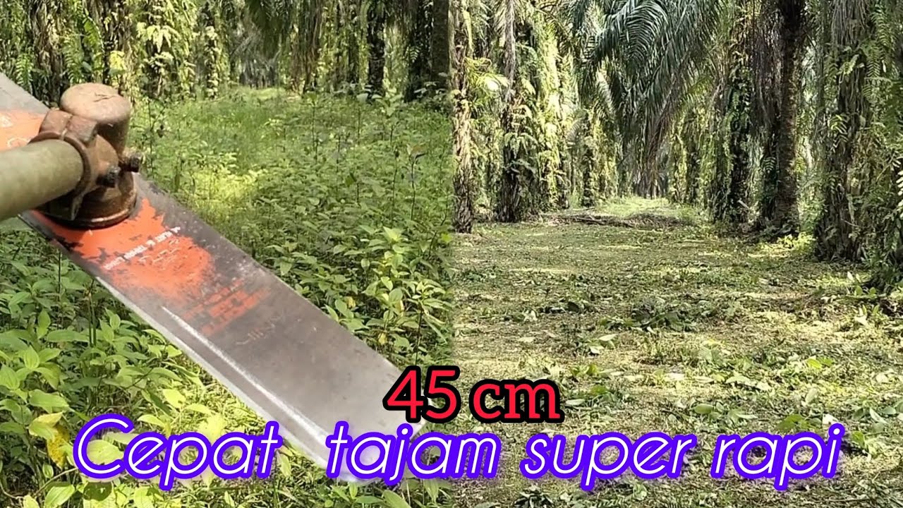 #pisau 45 cm hasil luar biasa, #mesin #rumput