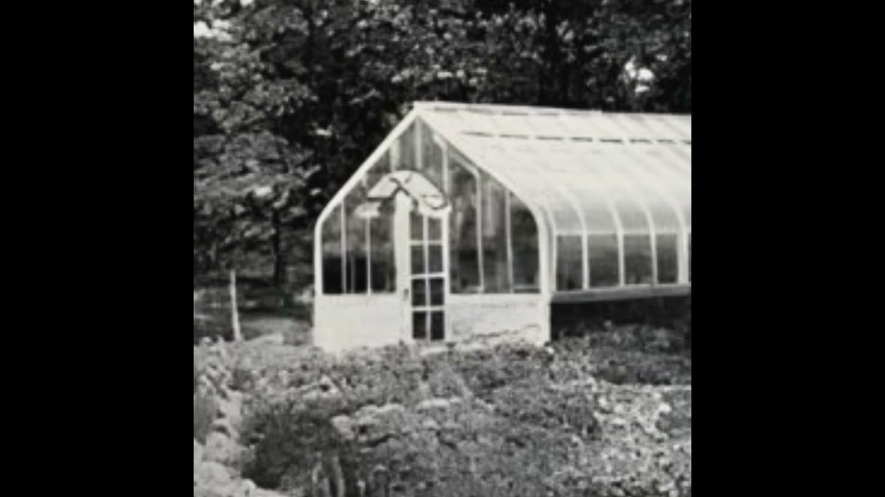 Síragon Gardens - Dreamers' greenhouse [ Signalwave | Vaporwave ]