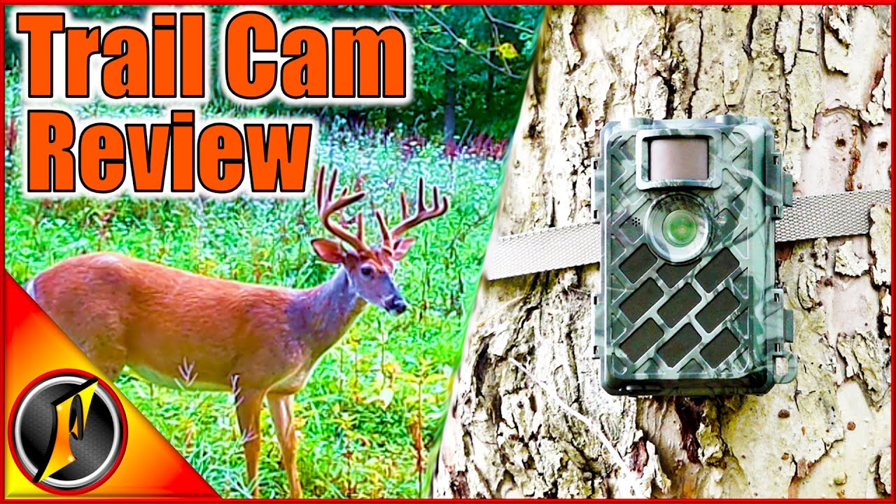 Testing & Reviewing the WingHome 630M Trail Camera!