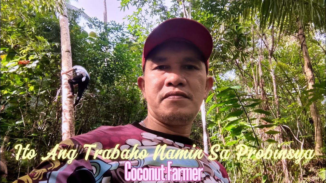 MGA GANAP SA PAGCOCOPRA SA BUKID || JFCTV 