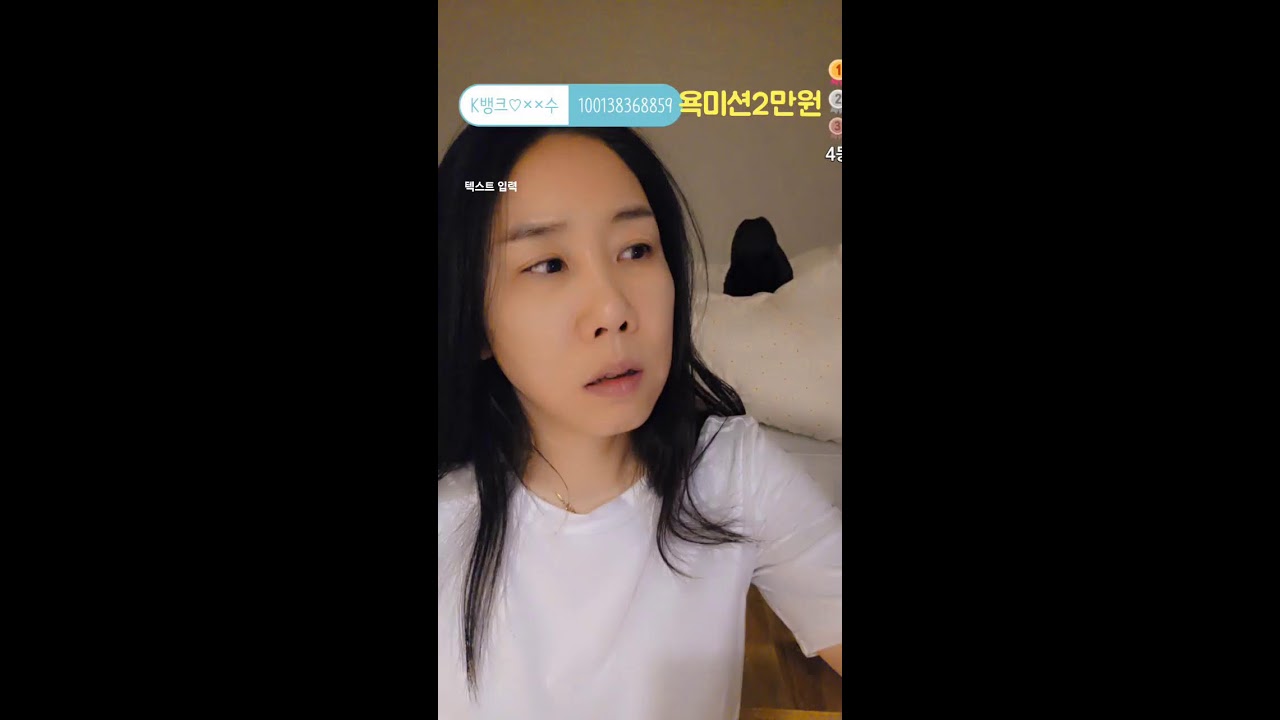#거제도#먹방#라이브#캣맘#