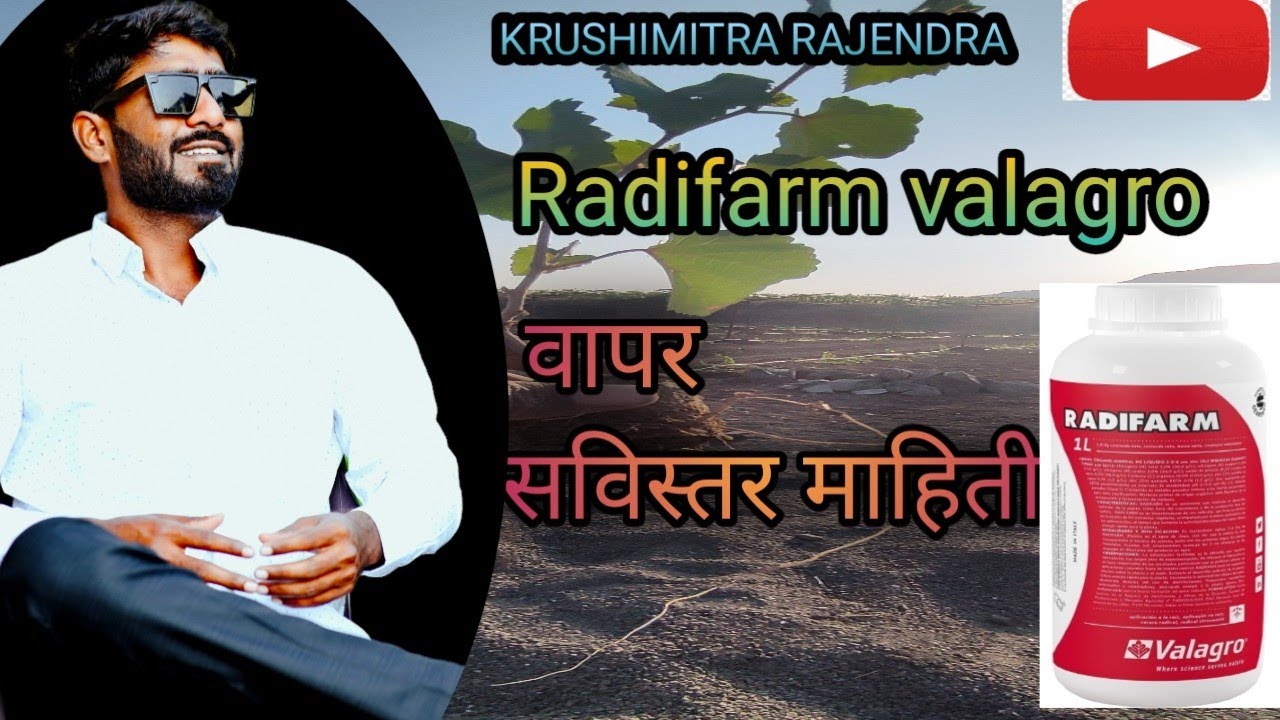 Radifarm valagro #valagro #tomato #grape #farming @IndianFarmer @TheAdvanceAgriculture