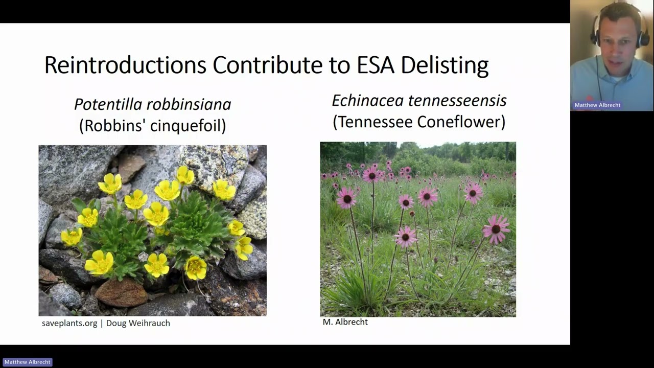 Drivers of rare plant translocation outcomes in the United States