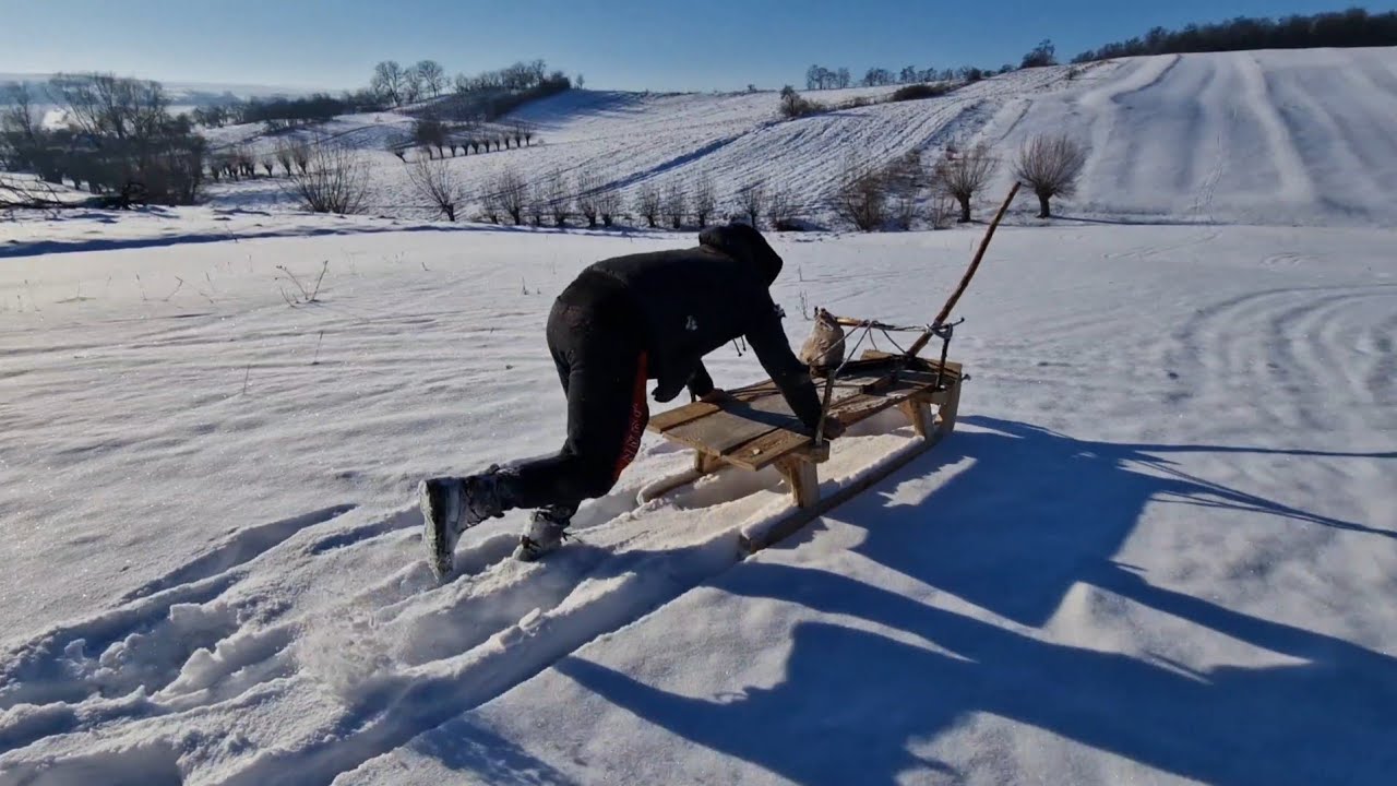 Ne ducem la pădure cu sania să aducem lemne dar Tiberiu vrea la săniuș!