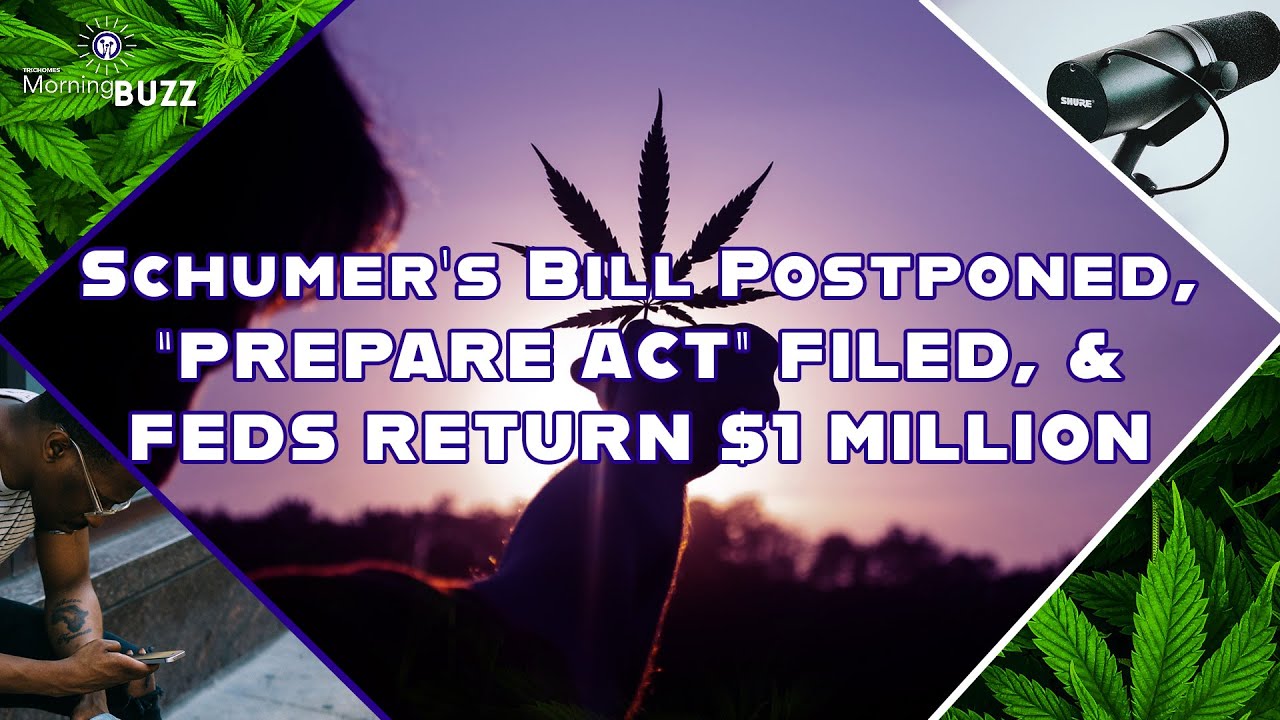 Today's Cannabis News And Federal Marijuana Legalization Update