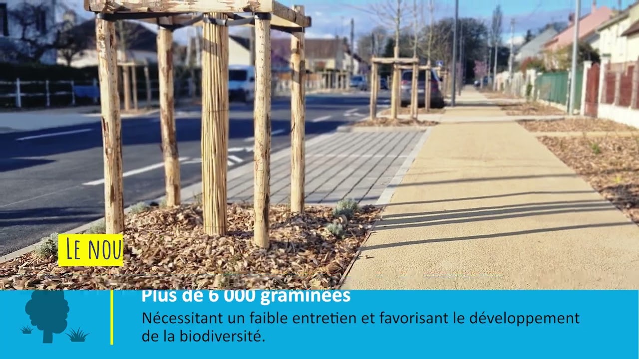 L’Avenue Henri Renard, le nouveau corridor écologique