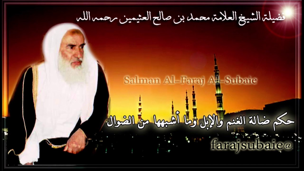 حكم ضالة الغنم والإبل وما أشبهها من الضوال ، الشيخ العلامة محمد بن عثيمين 