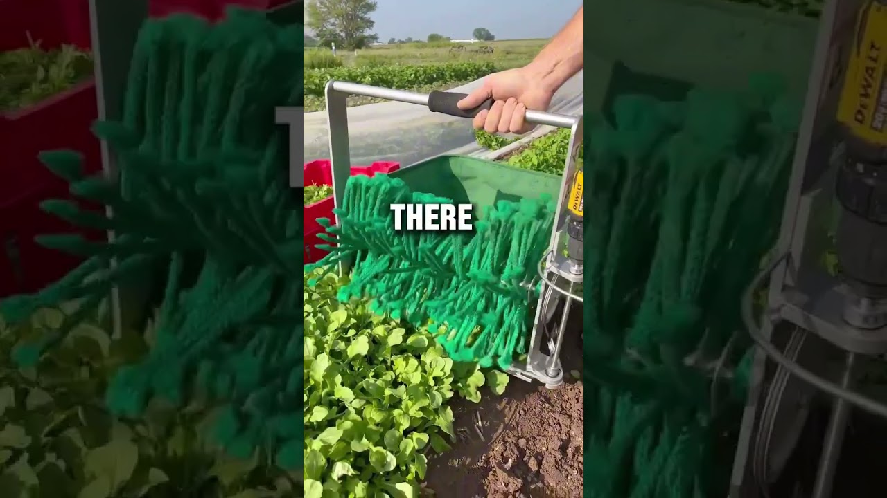 #до свидания