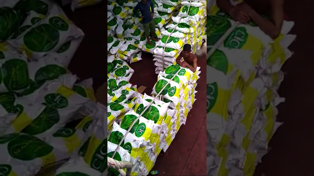 Container / Rice Stuffing Training