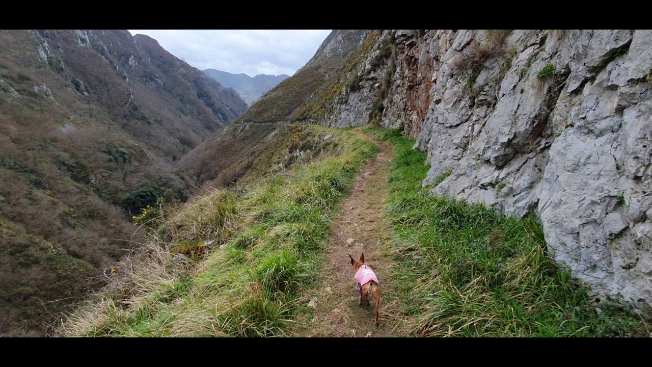 Ruta Foces del r&iacute;o Pend&oacute;n + Les Praeres (Nava - Asturias): sendero
